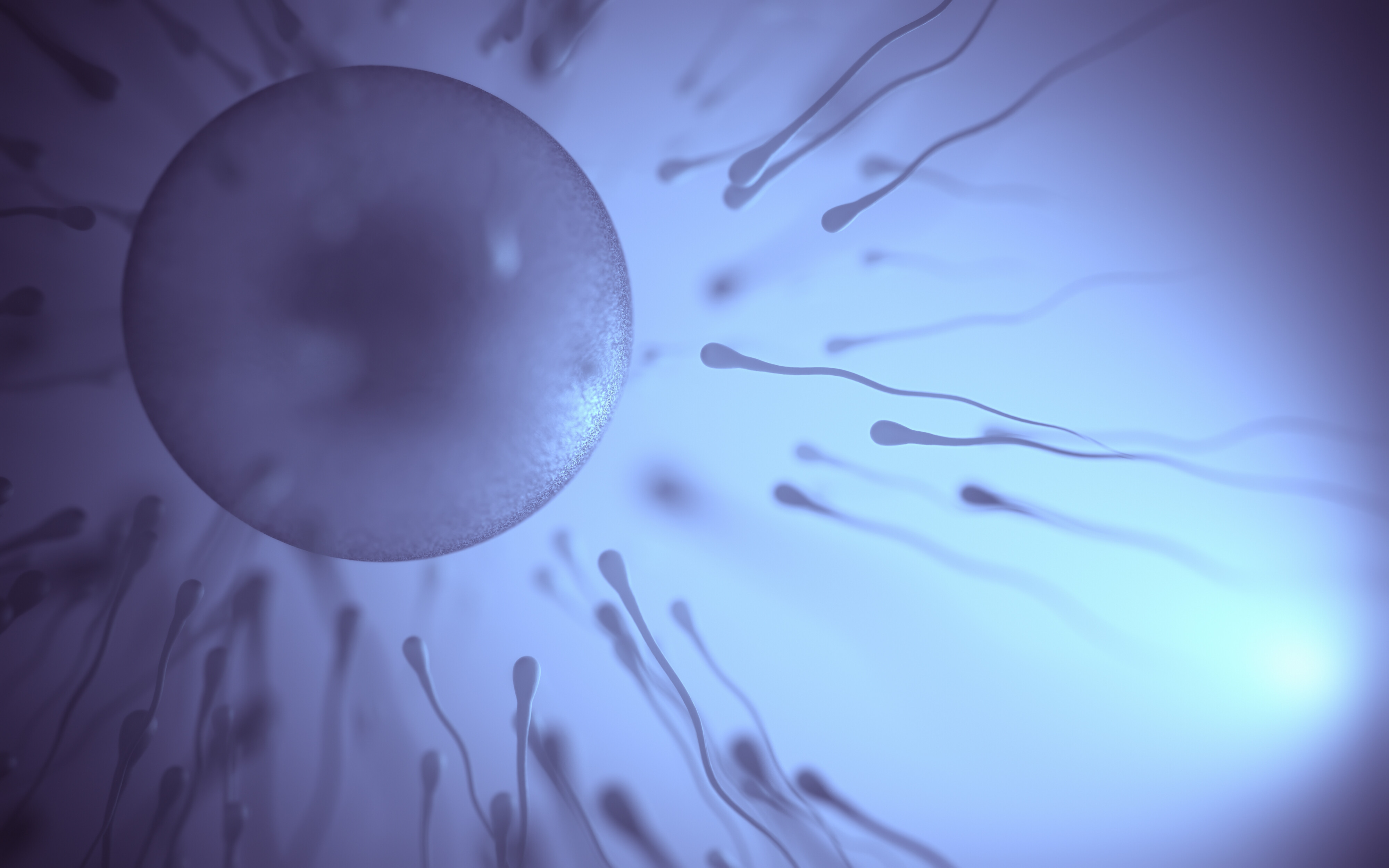 Male Fertility - What Every Man Should Know Before Trying To Have a Baby